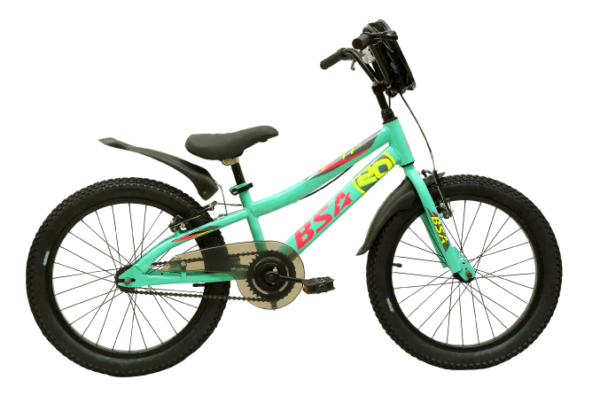 bsa wildcat, 20 inch cycle for kids, sports cycle for kids